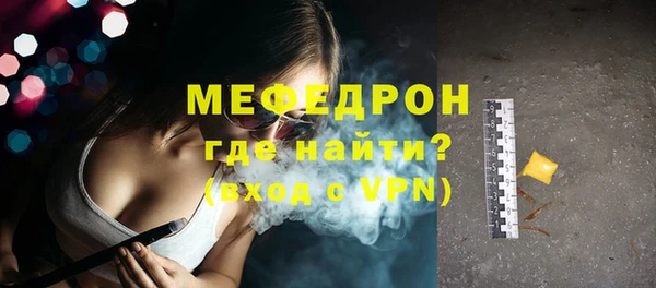 шишки Ельня