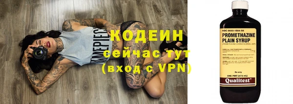 шишки Ельня