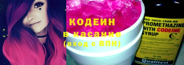 шишки Ельня