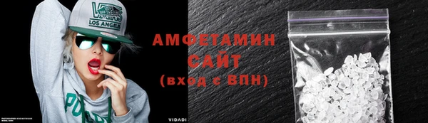 шишки Ельня