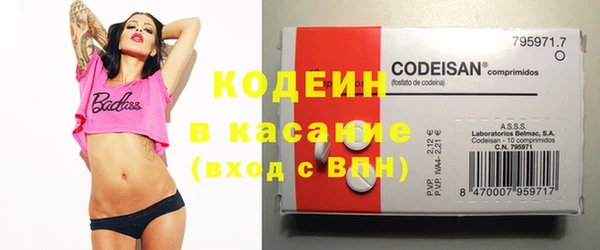шишки Ельня