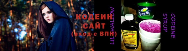 шишки Ельня