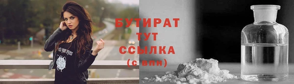 шишки Ельня