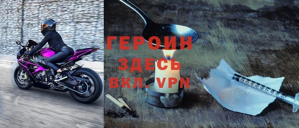 шишки Ельня