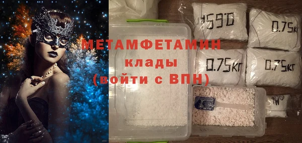 шишки Ельня