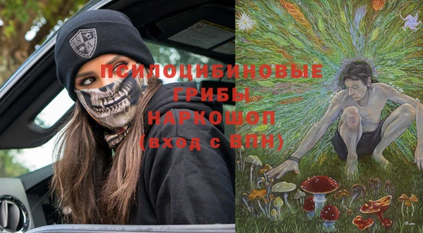 spice Елизово