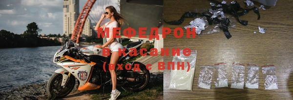 шишки Ельня