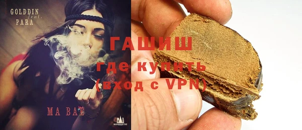 шишки Ельня