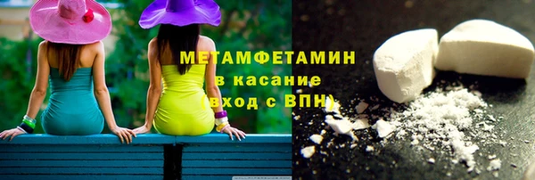 шишки Ельня