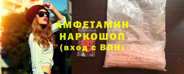 шишки Ельня